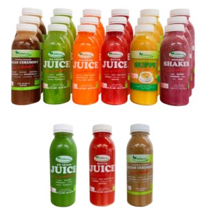 3 Dags Juicekur Light + 3 ekstra Juice (21 produkter) SPAR 30% VIP