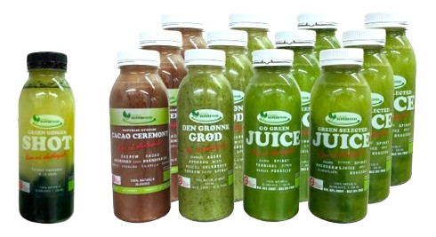 Hverdags Juicekasse Grøn
